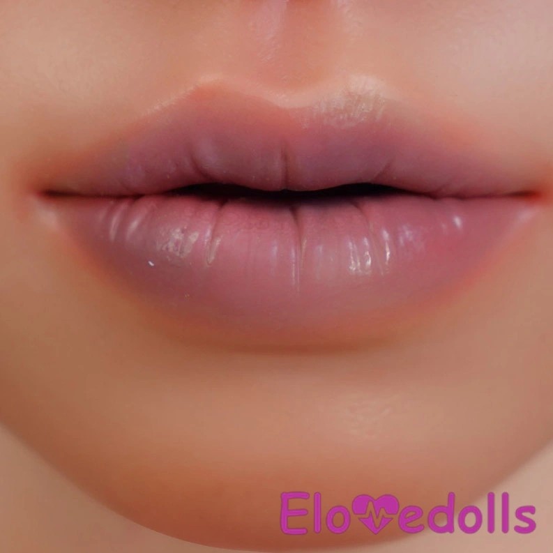 nude lips makeup finish